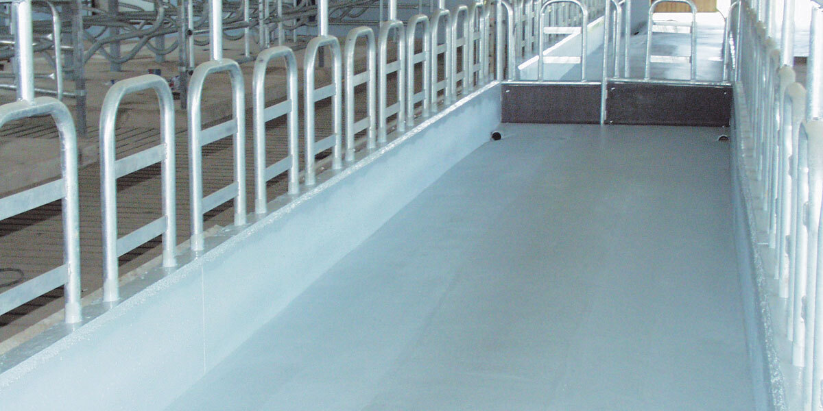 Cow Shed