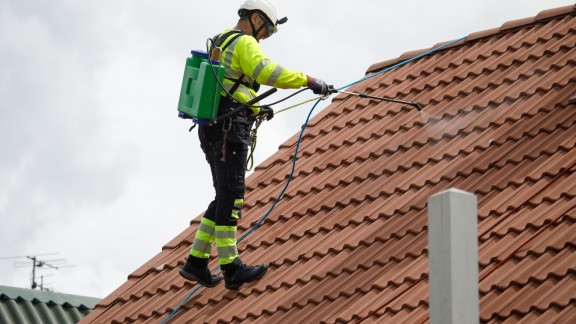 Roof painting