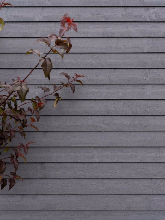 Exterior wood