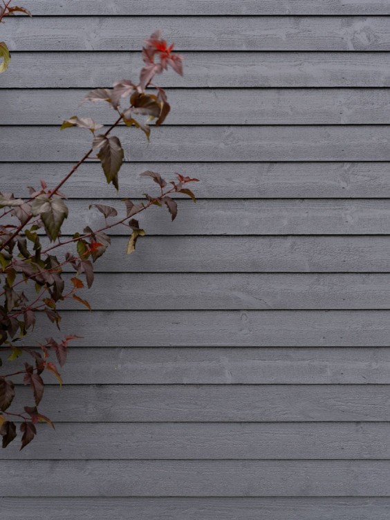 Exterior wood