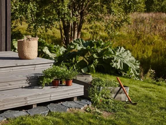 terrace garden
