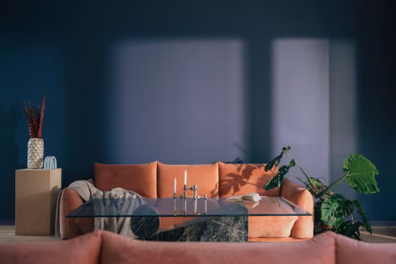 Color of the year 2025
