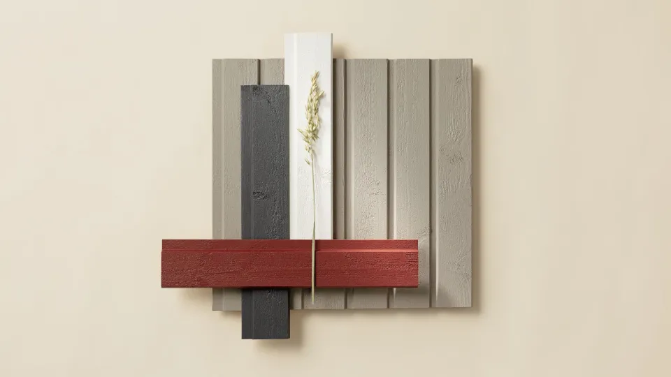 House exterior colour combination