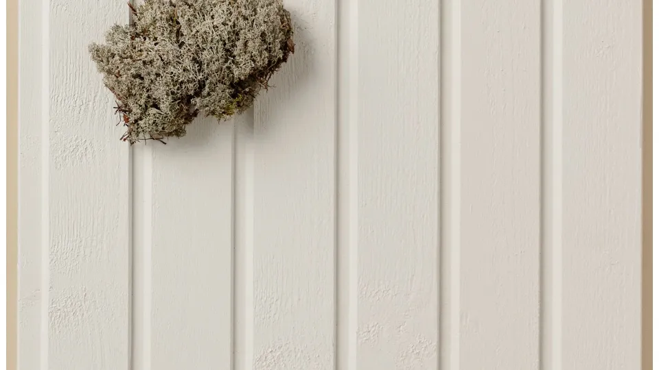 white facade colour Q854 Pyry