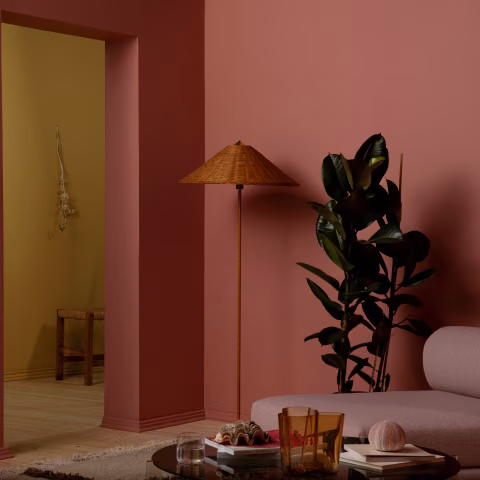 Design solutions inspired by nature