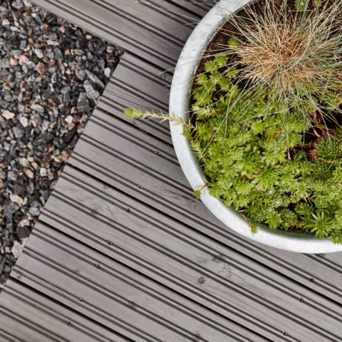 wooden terrace with plants